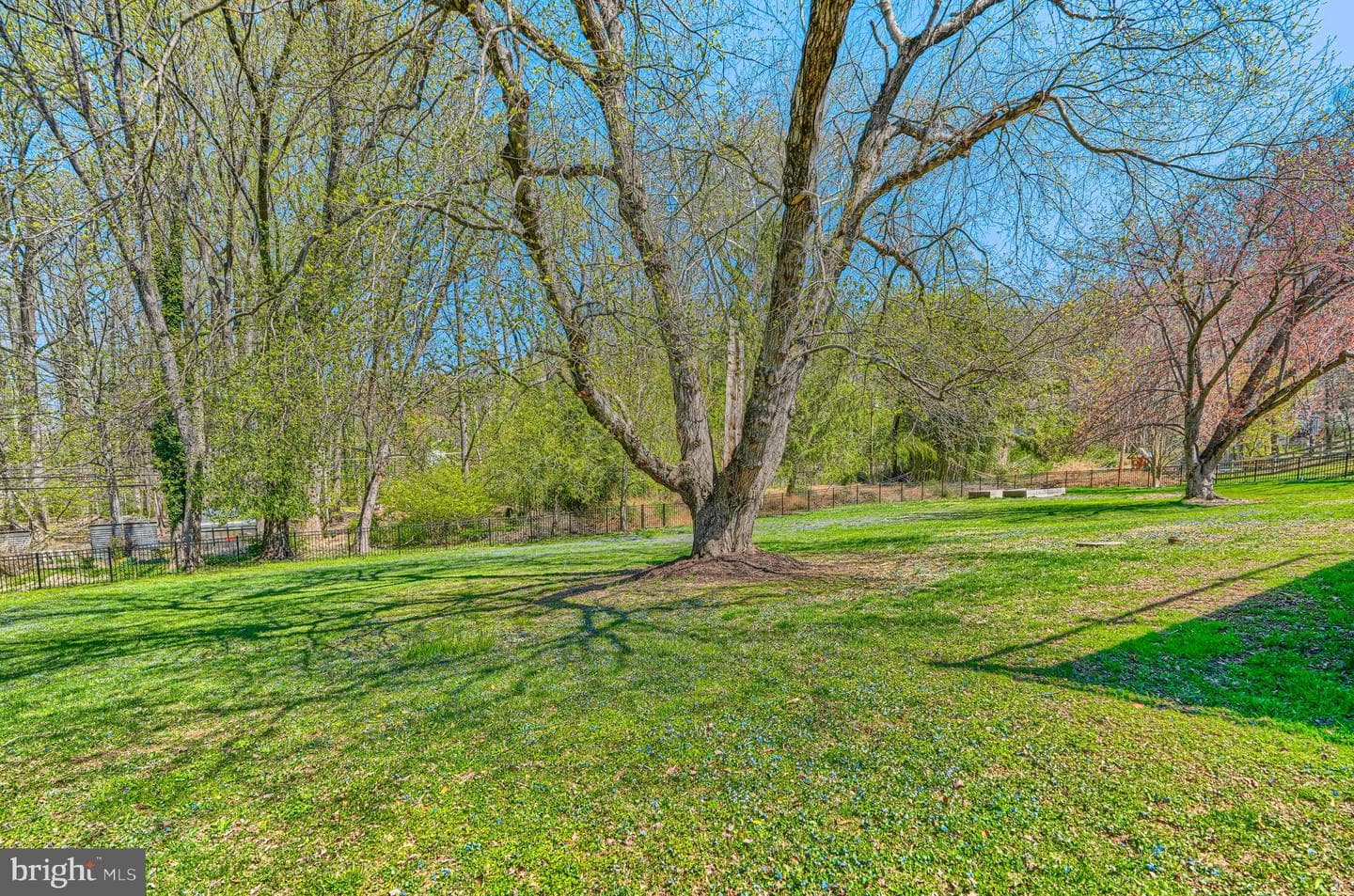 802 Stone Barn Road photo 79