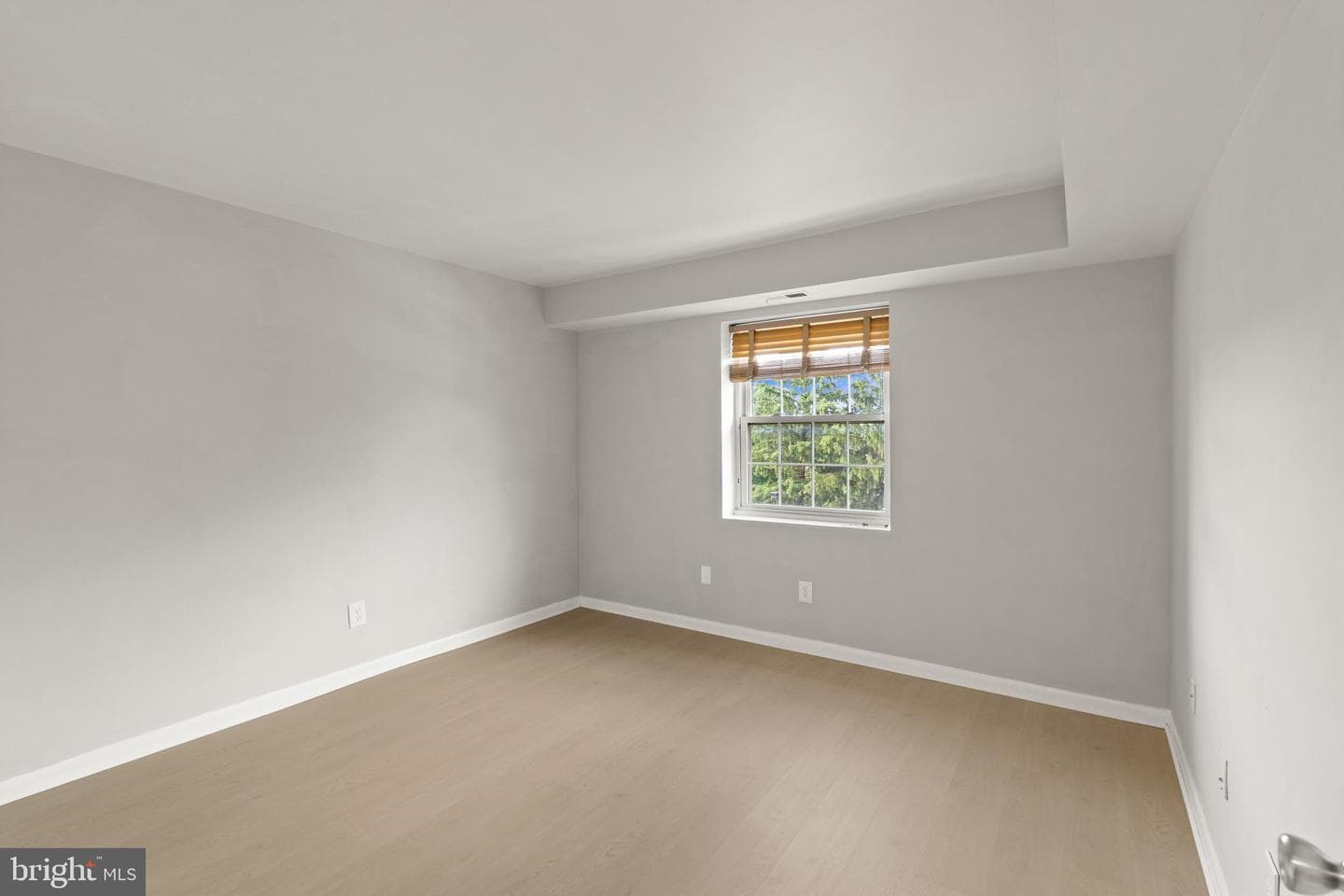 5 Elphin #301 photo 25