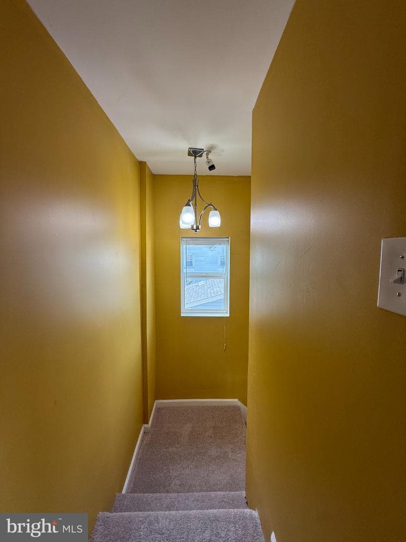 123 Winters Ln photo 11