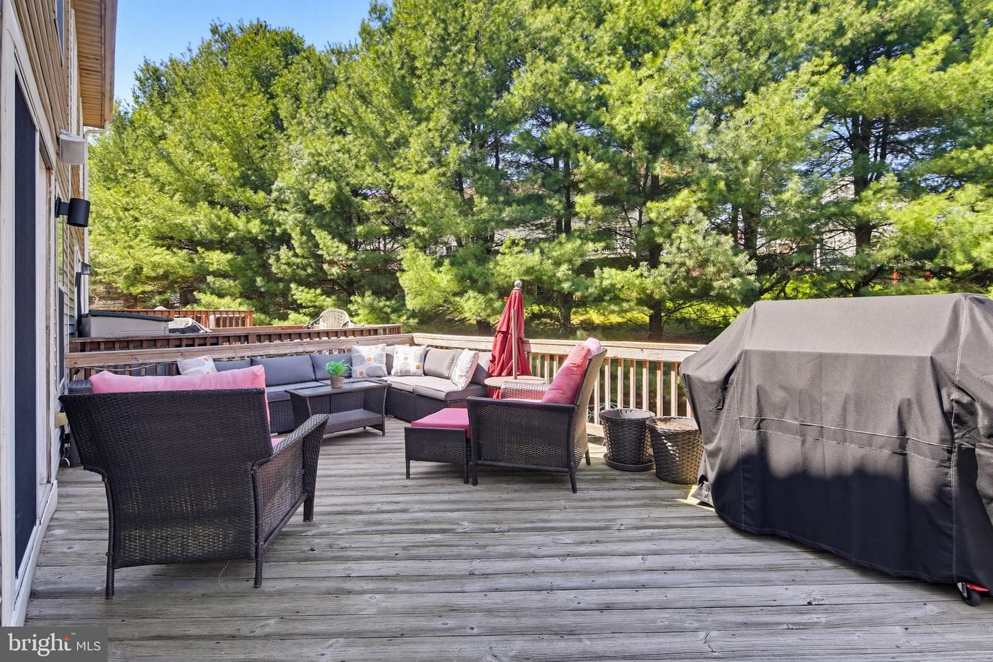 14 Shelton Court photo 31