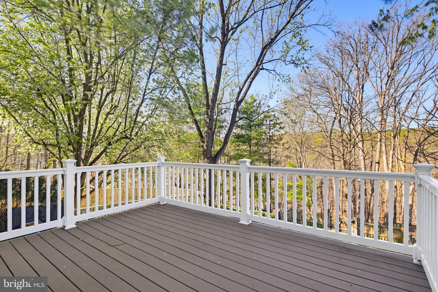 46 Kimball Ridge Court photo 8