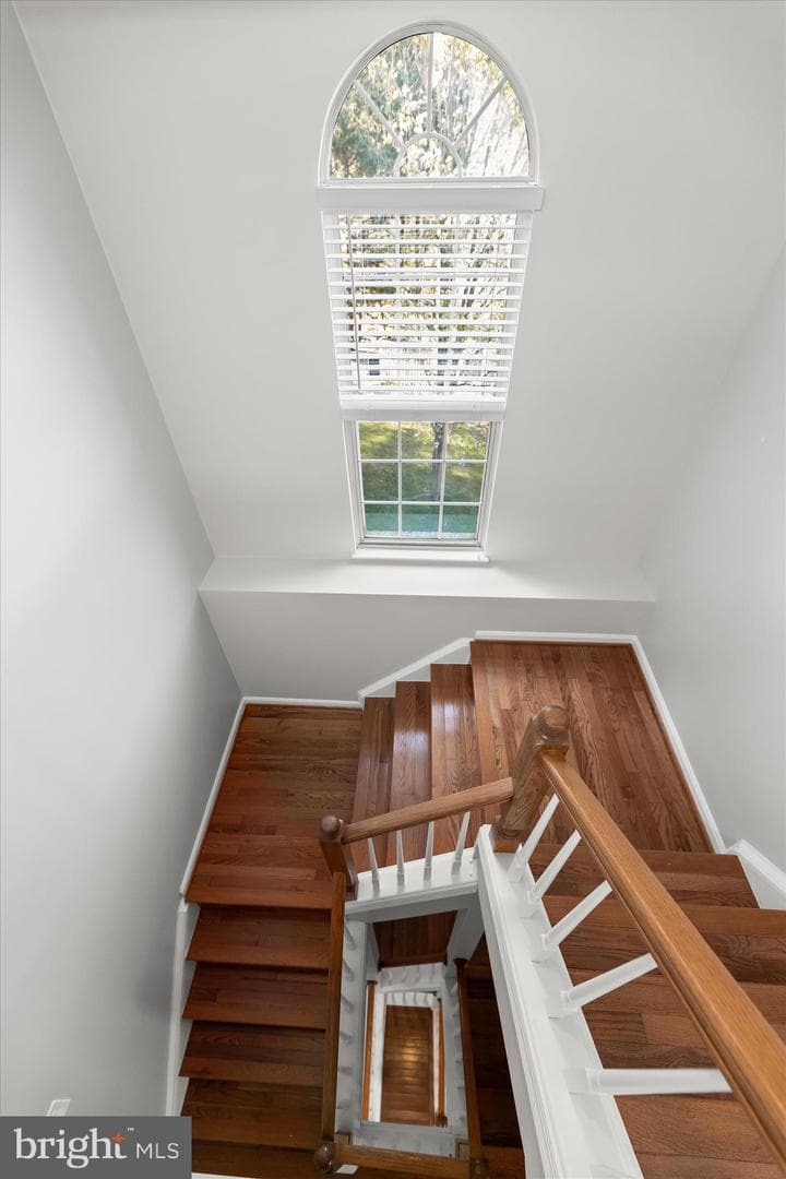 11936 Thurloe Drive photo 37