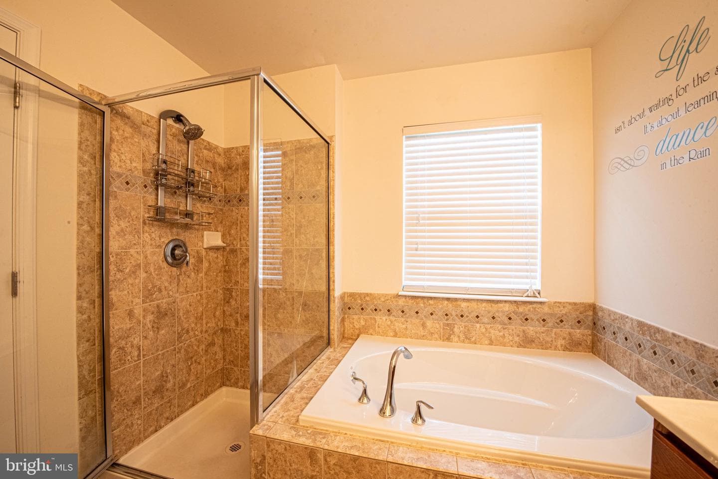 8515 Stansbury Lake Drive photo 41