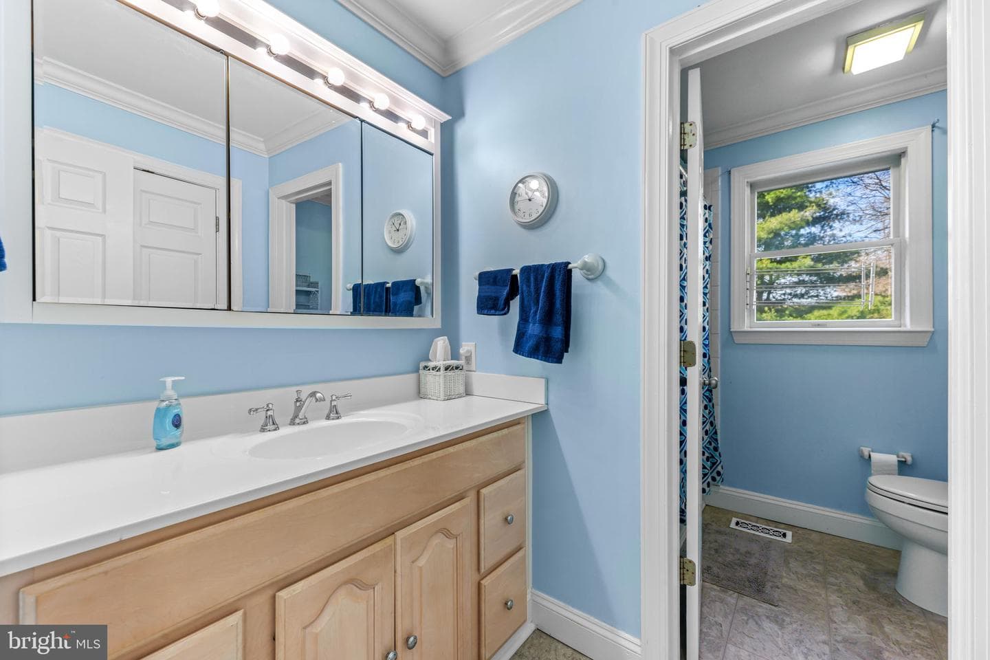 21310 W Liberty Road photo 64
