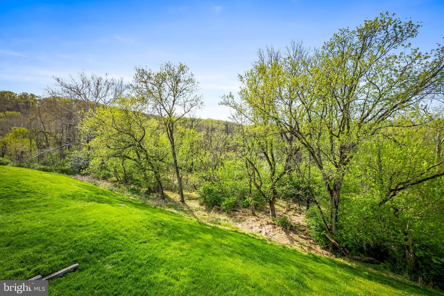 36 Iron Mill Garth photo 19