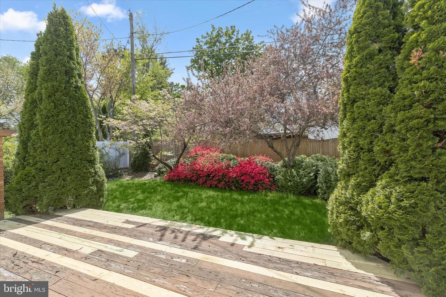 11610 Terry Town Drive photo 40