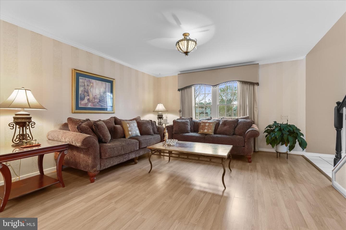1 Scott Norman Court photo 8