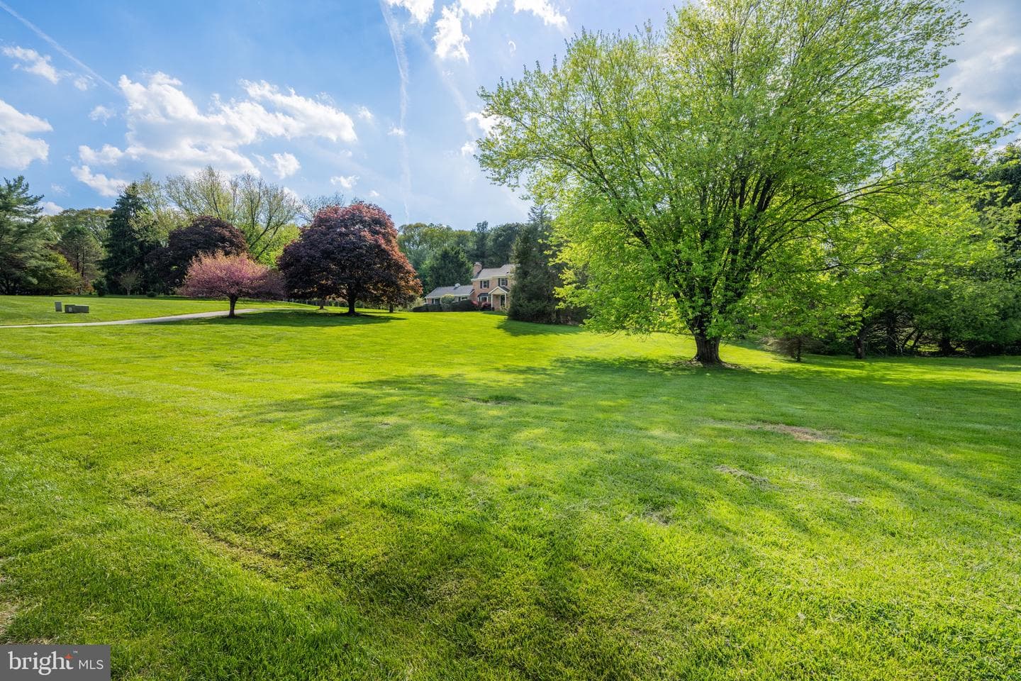12914 Falls Road photo 54