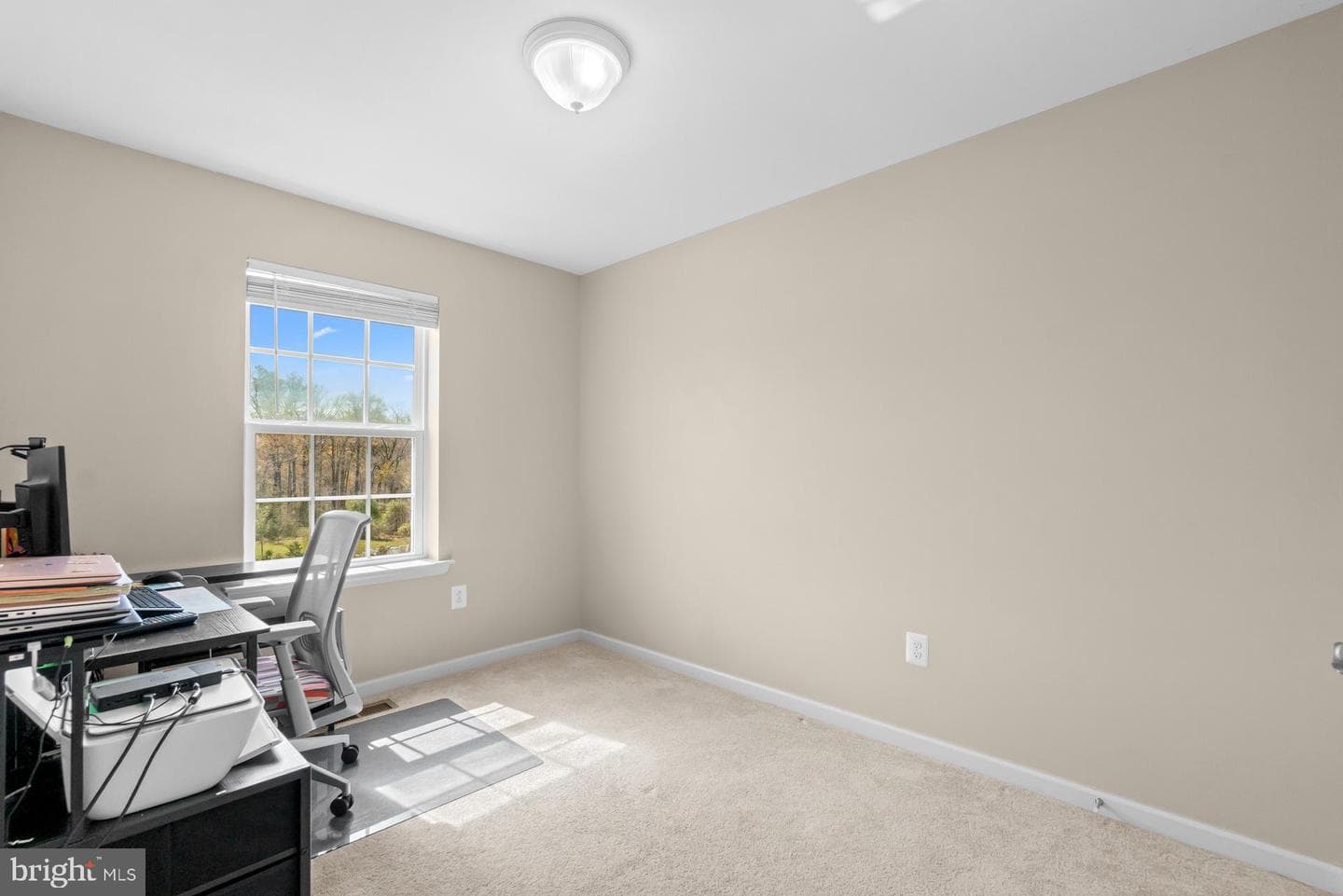 955 Morgan Run Road photo 18
