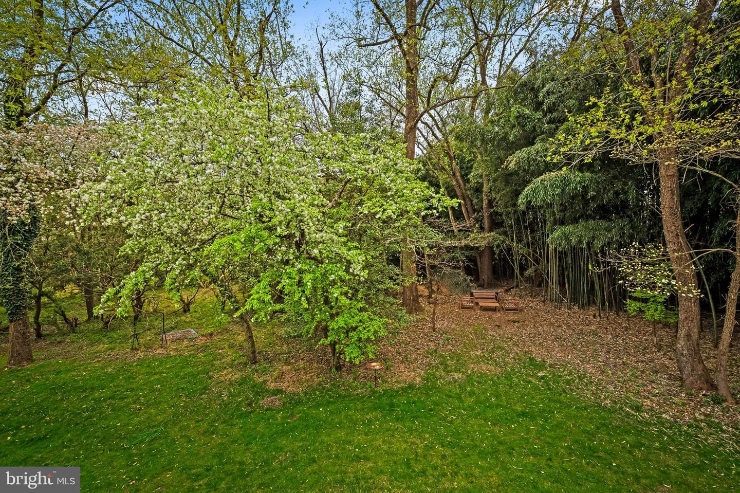 1 Winterberry Court photo 27