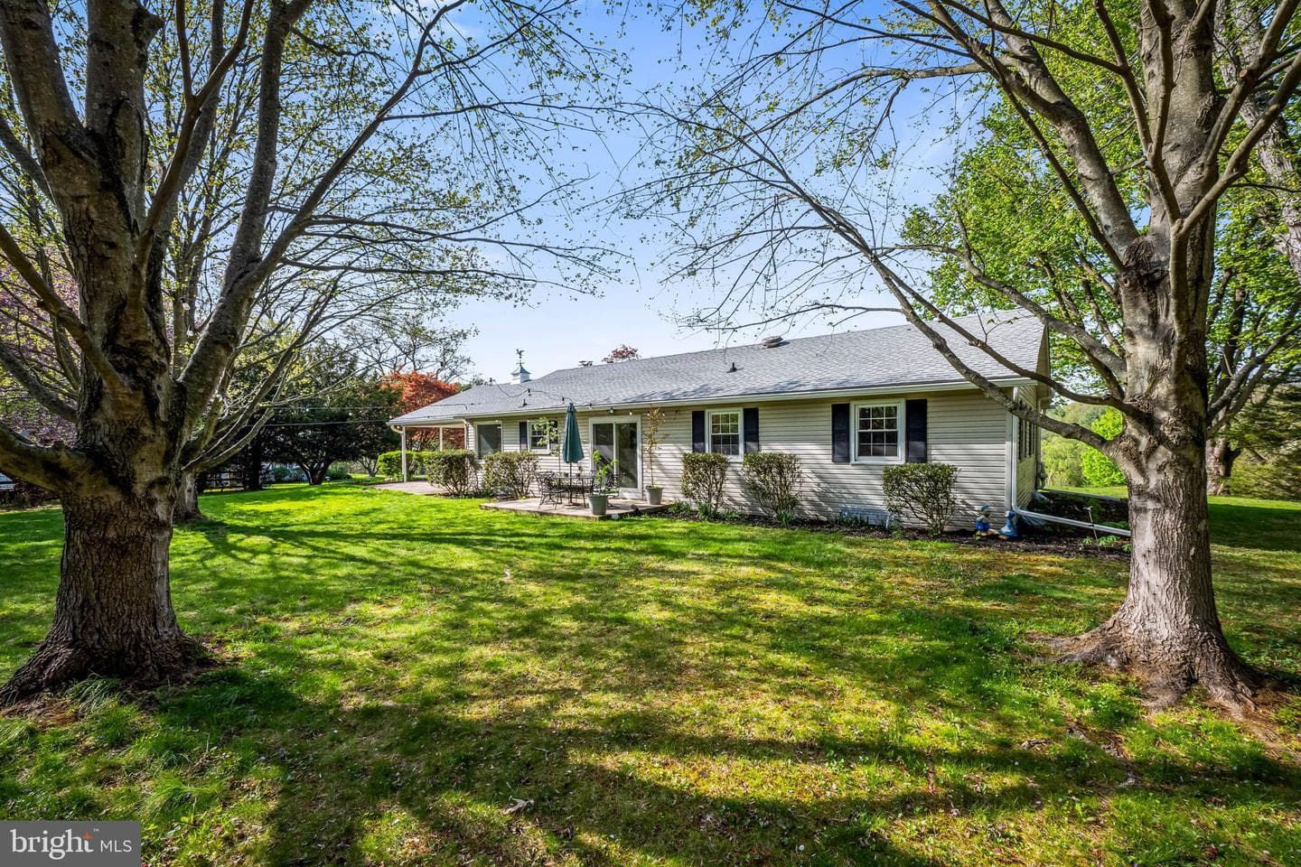 14009 Blenheim Road N photo 7