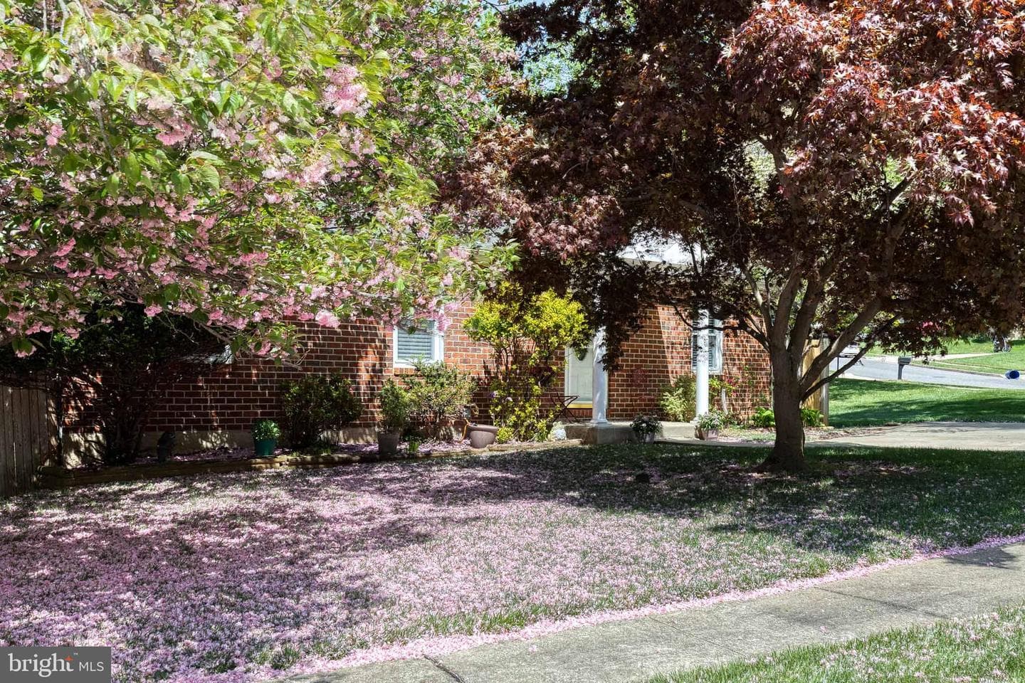 2608 Bradwell Court photo 3