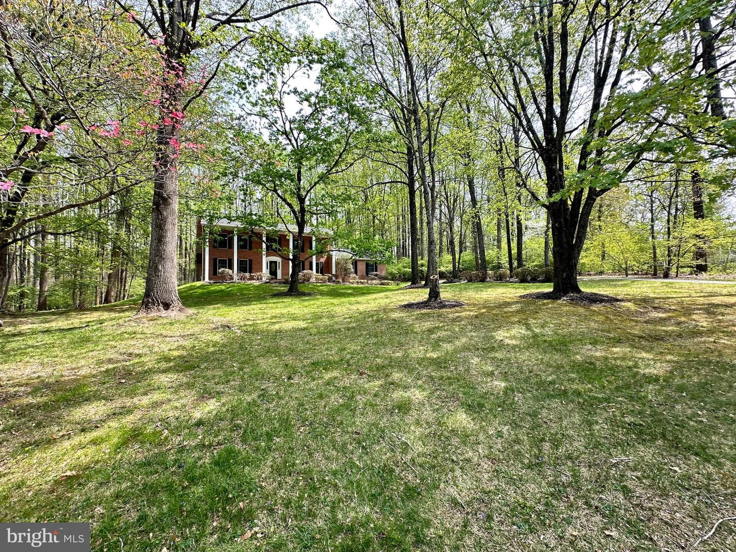 13 Constantine Drive photo 3