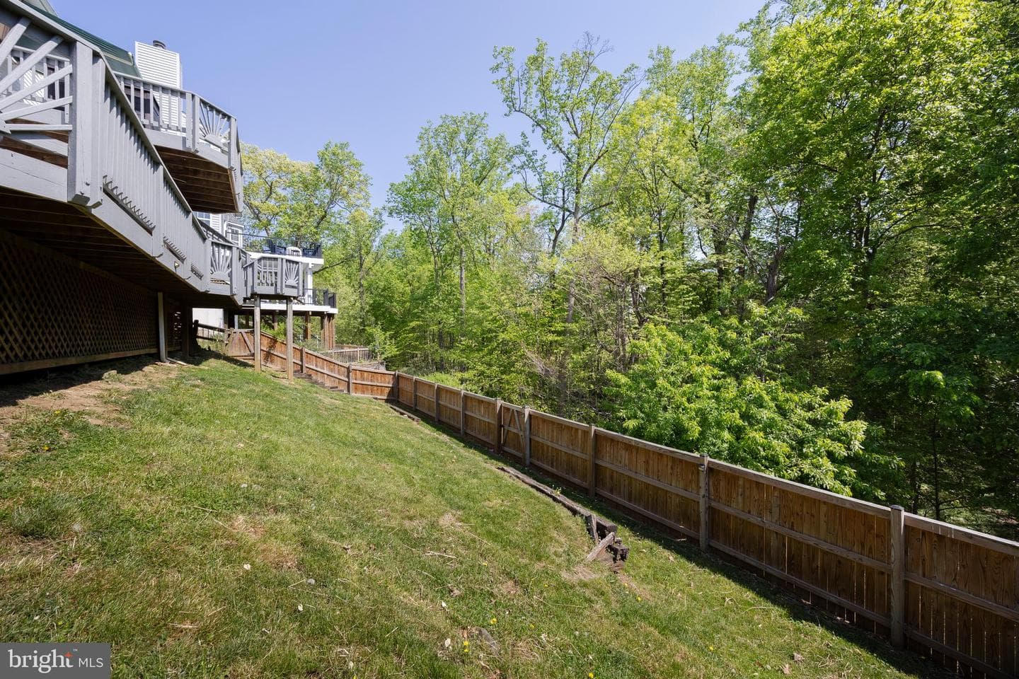 24 Basswood Court photo 55