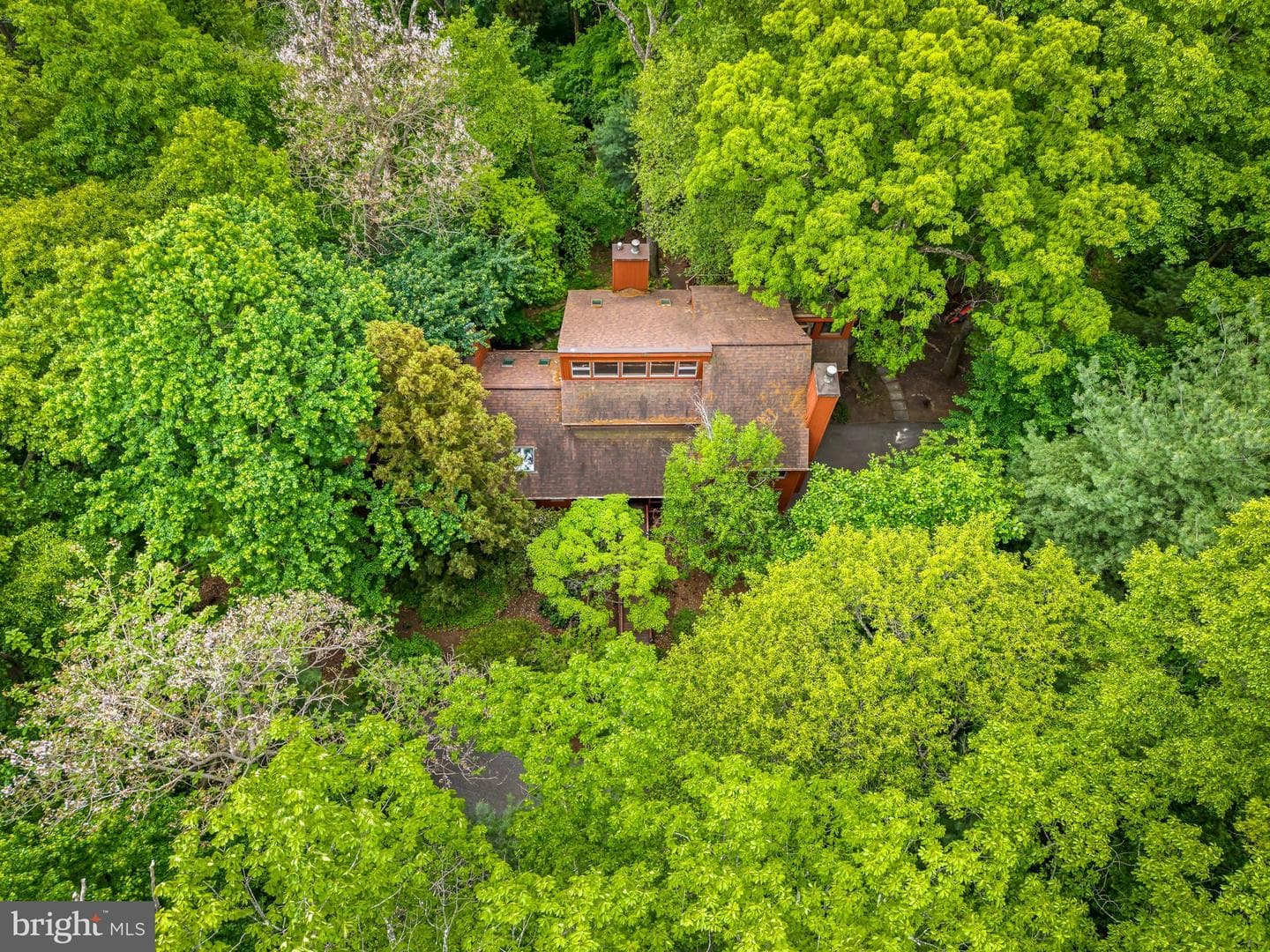 10 Chesterfield Court photo 53