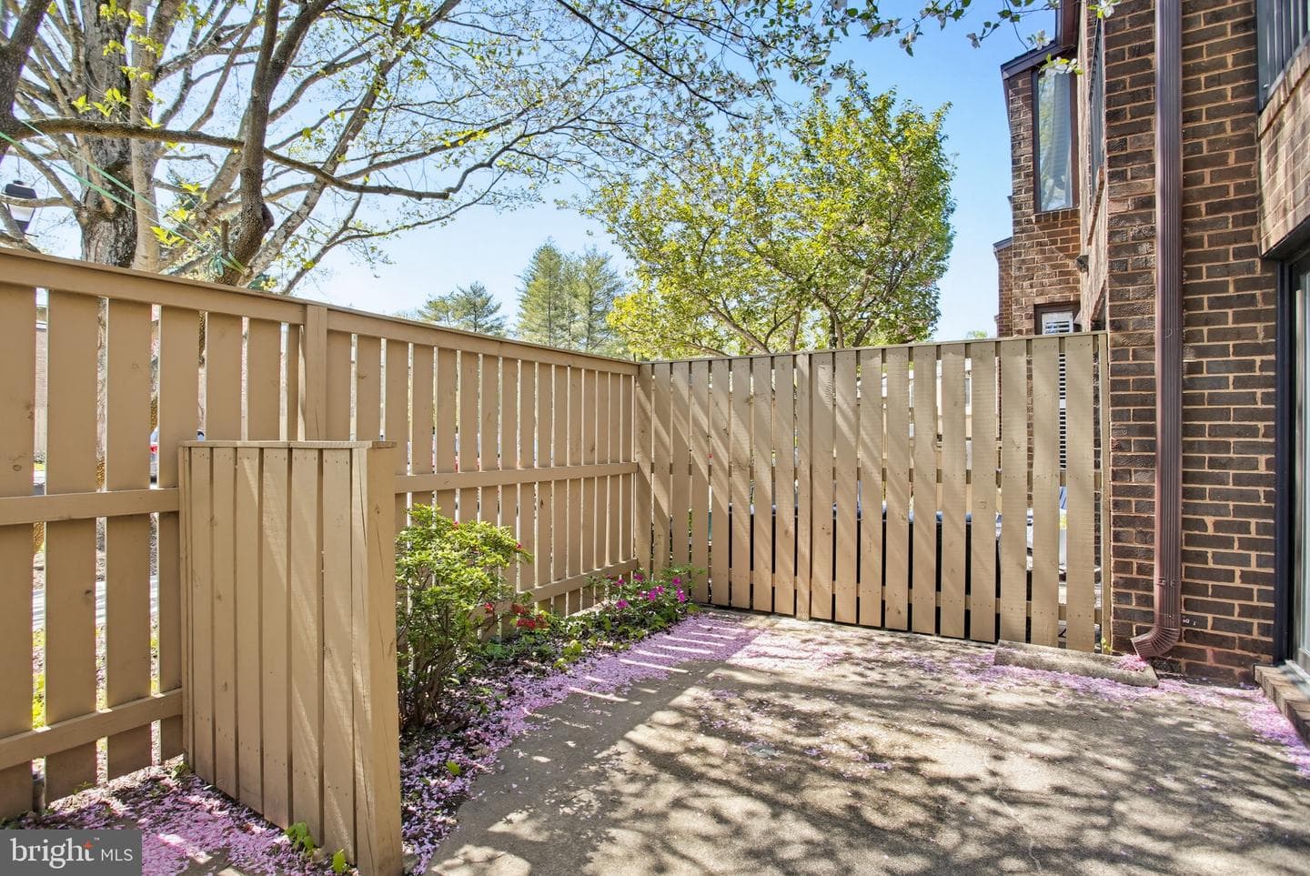 20 Pickburn Court #d photo 33