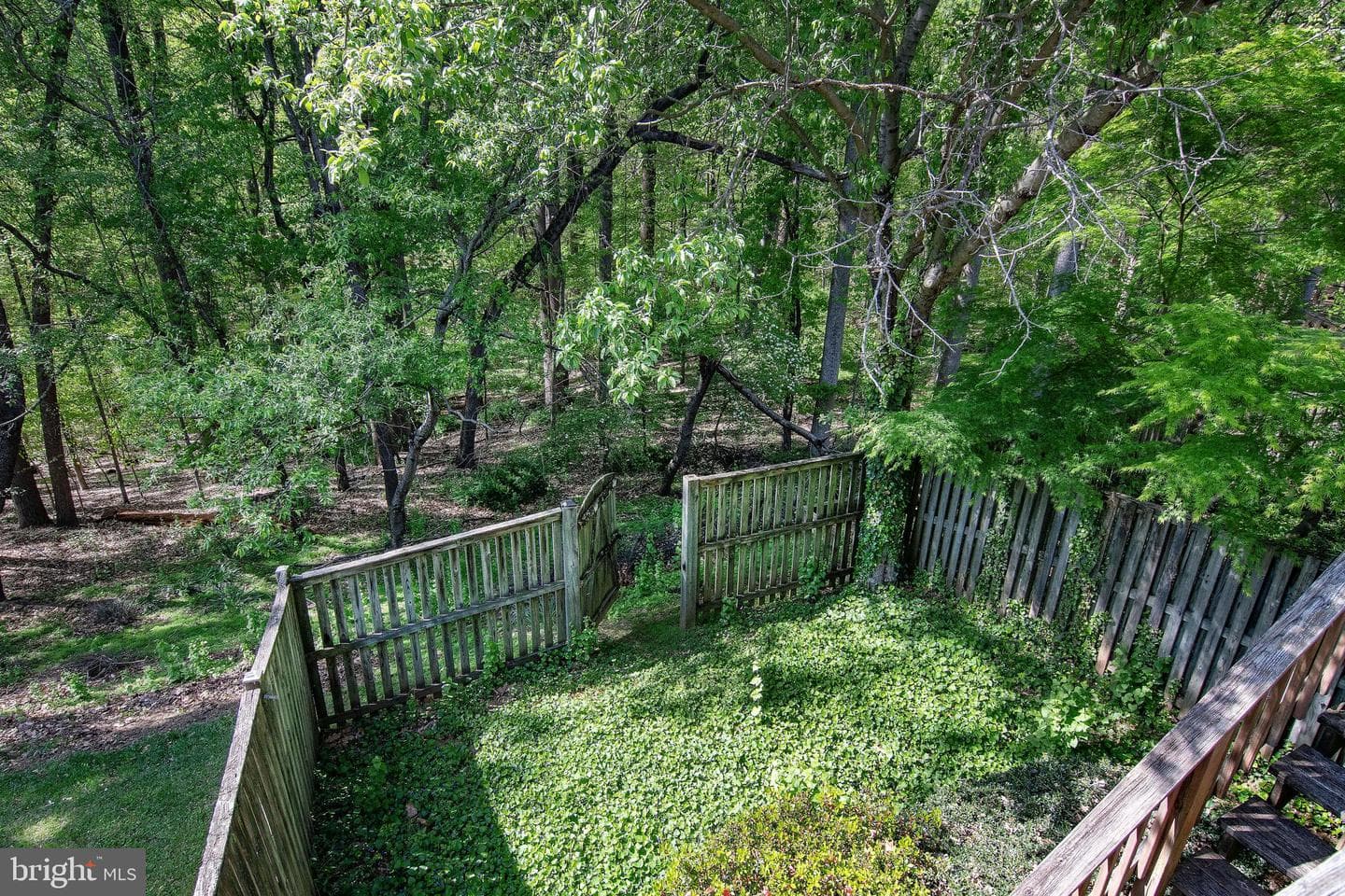 46 Abbey Bridge Court photo 19