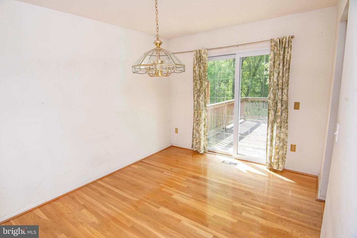 46 Abbey Bridge Court photo 4
