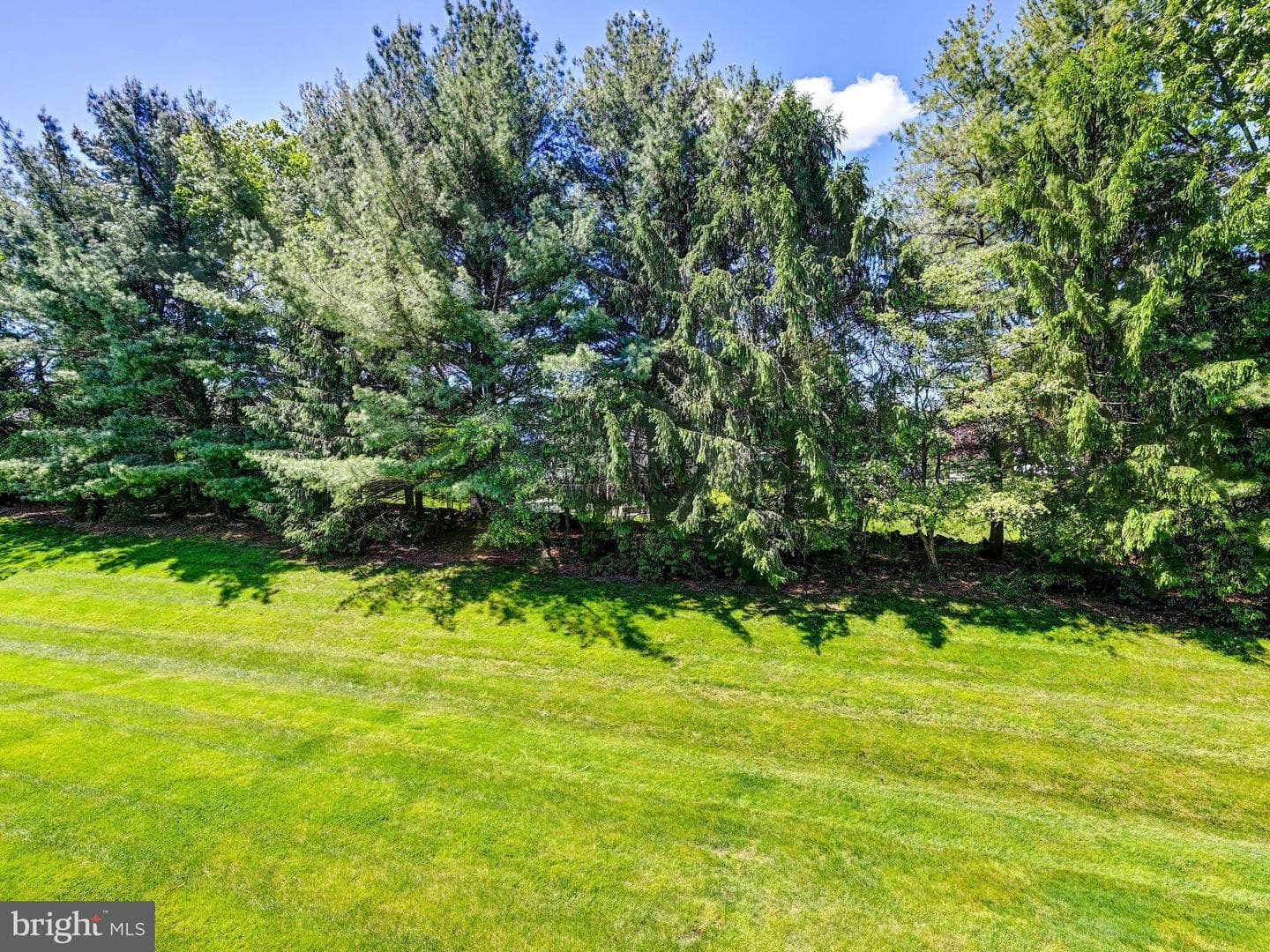5948 Ivy League Drive photo 36