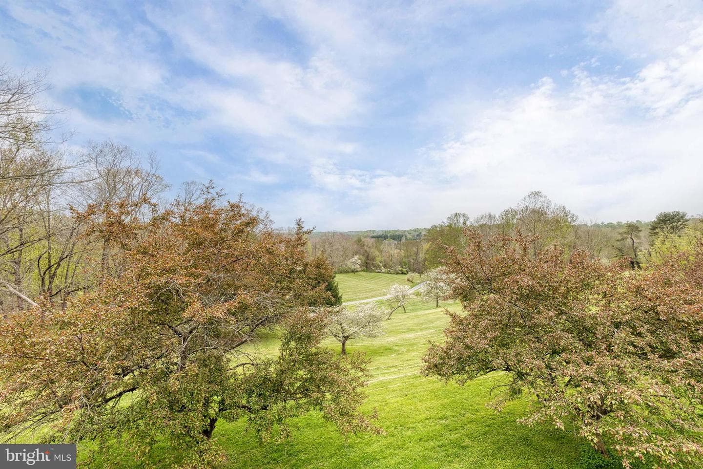 15701 Home Road photo 66