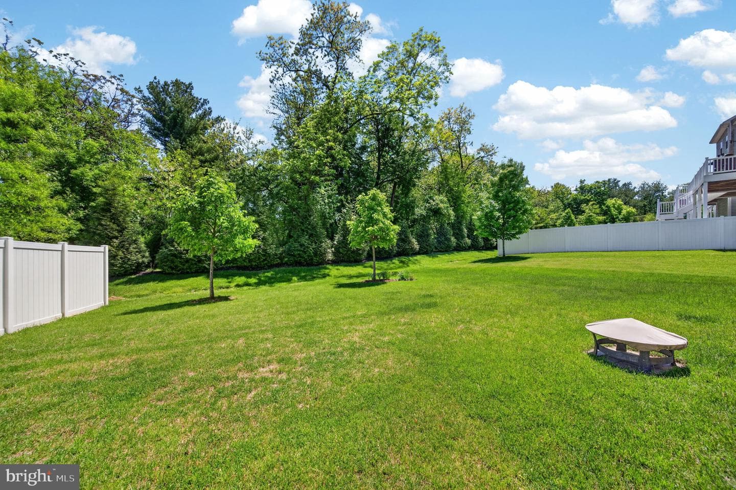10047 Whitaker Way photo 40