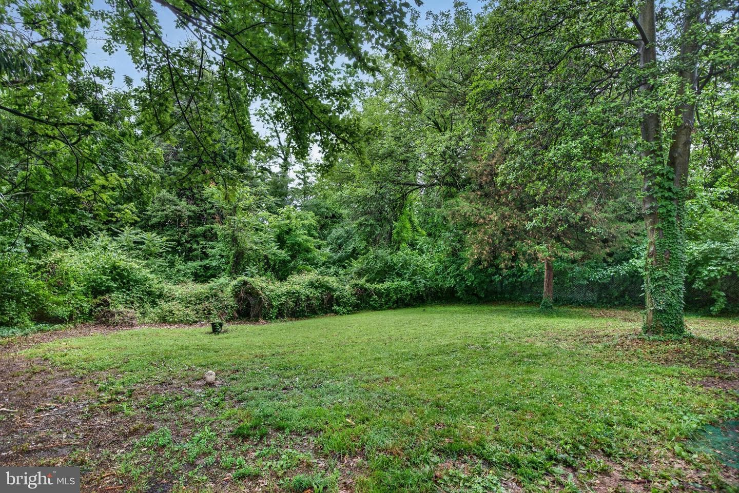 104 Waelchli Avenue photo 36