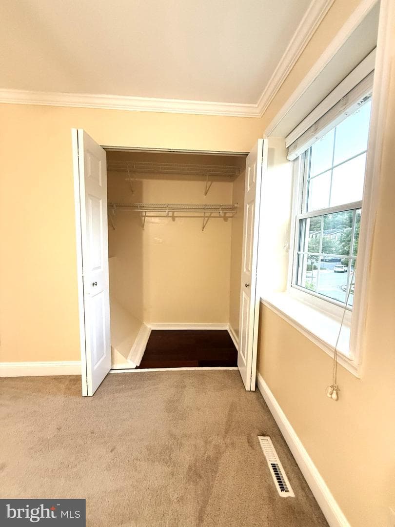 314 Hometown Way photo 46