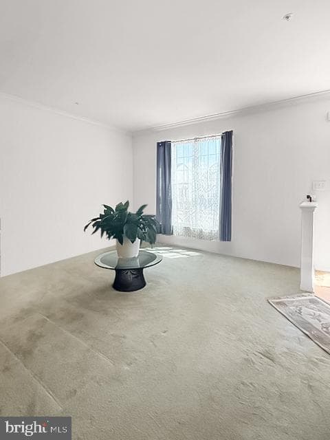 9228 Owings Choice Court photo 2