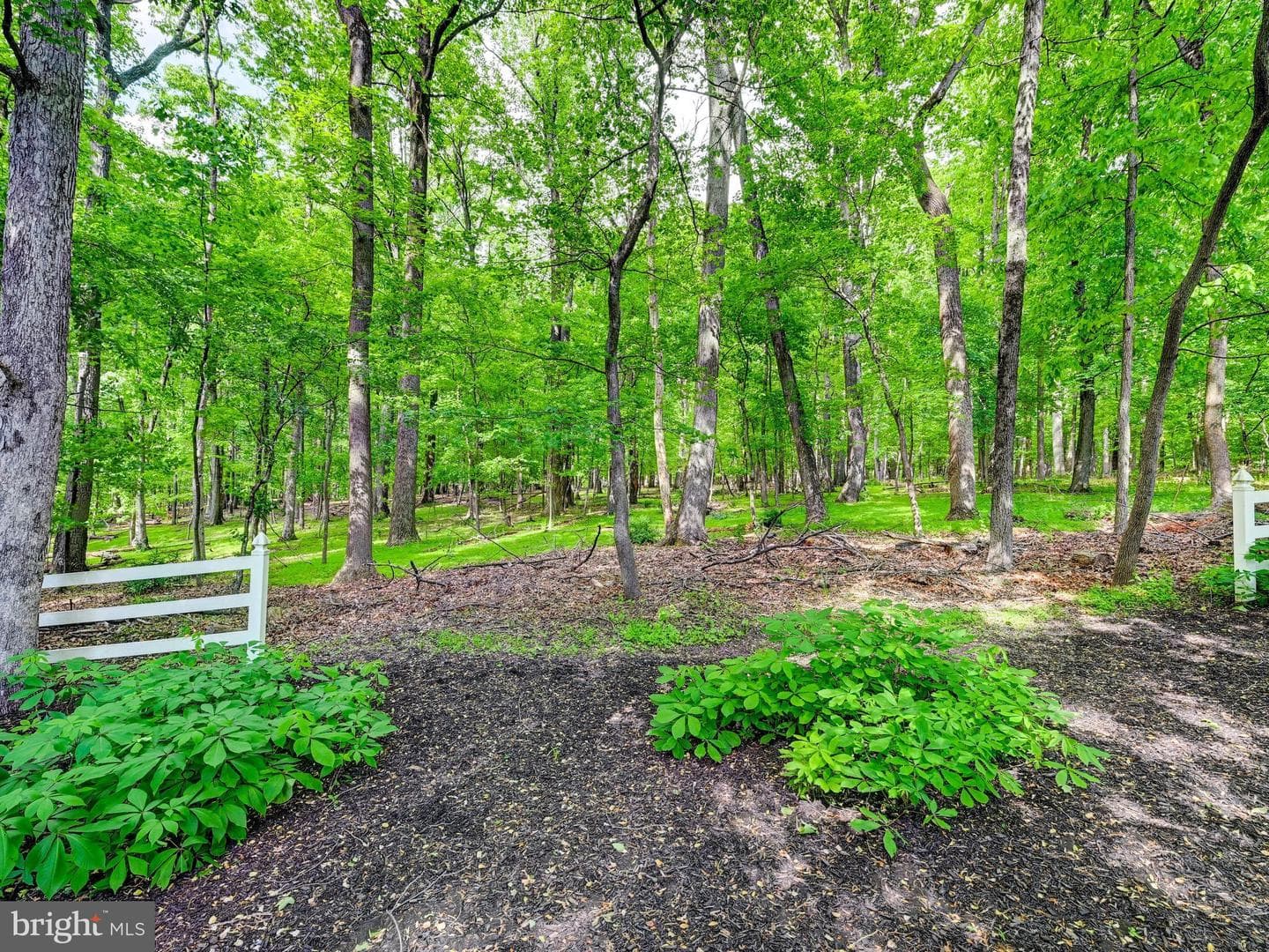 46 Springhill Farm Court photo 78