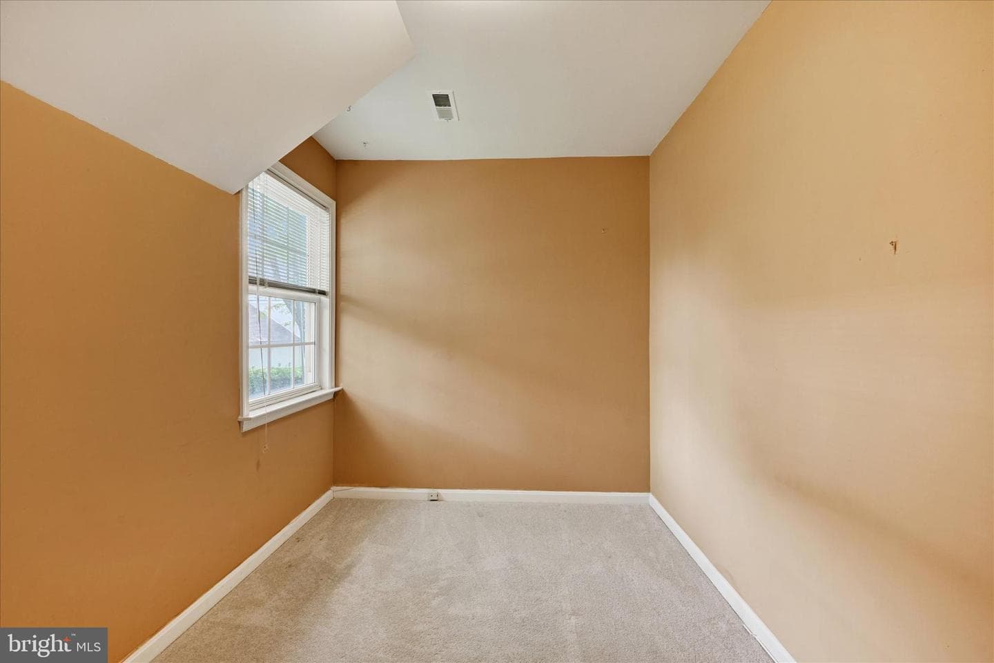 16 Mary Carroll Ct # 16 photo 19