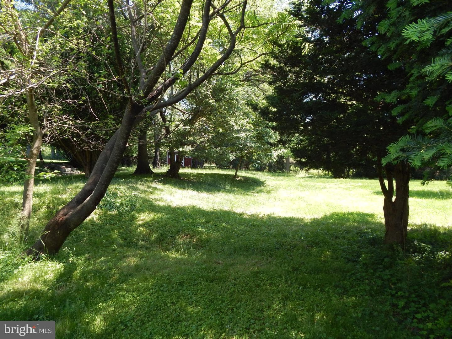 5 Sunnydale Way photo 53