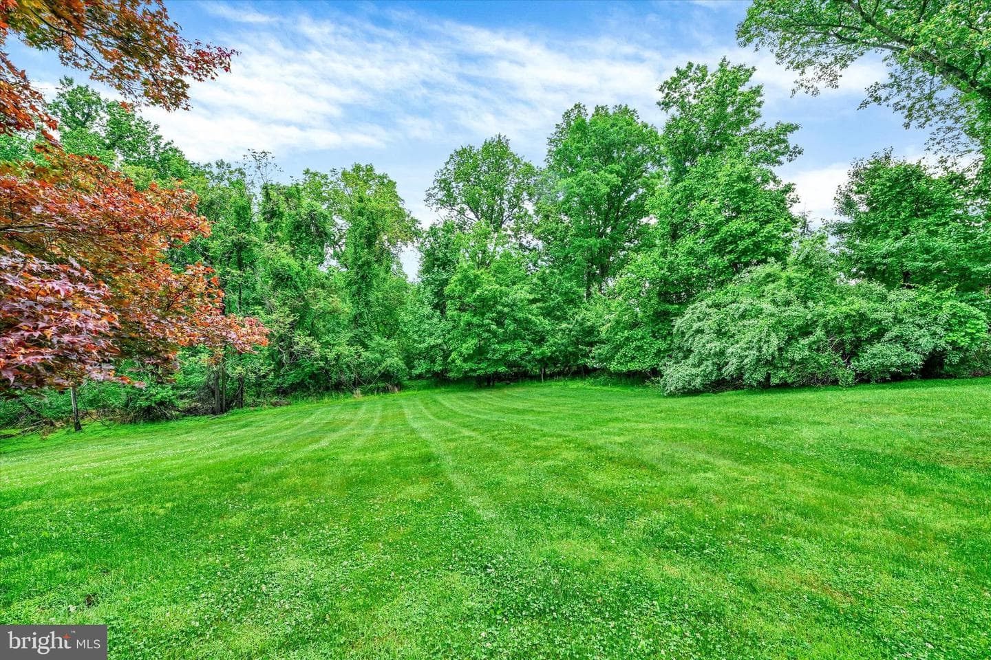 5a Dellwood Court photo 3
