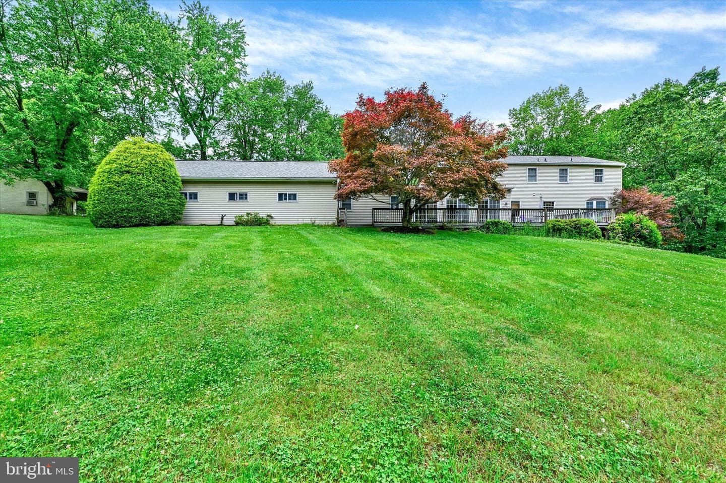 5a Dellwood Court photo 48