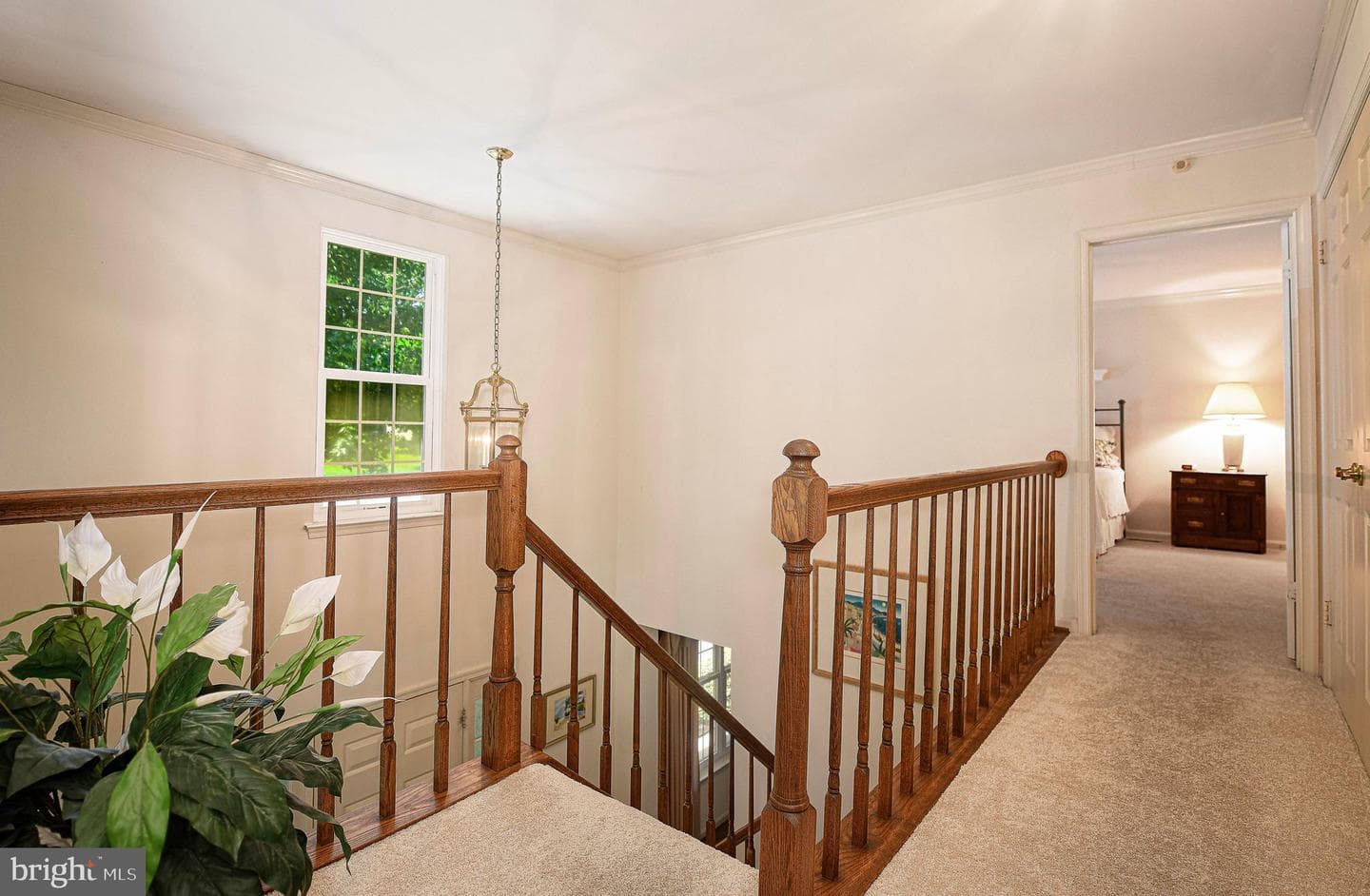 46 Dulaney Hills Court photo 24