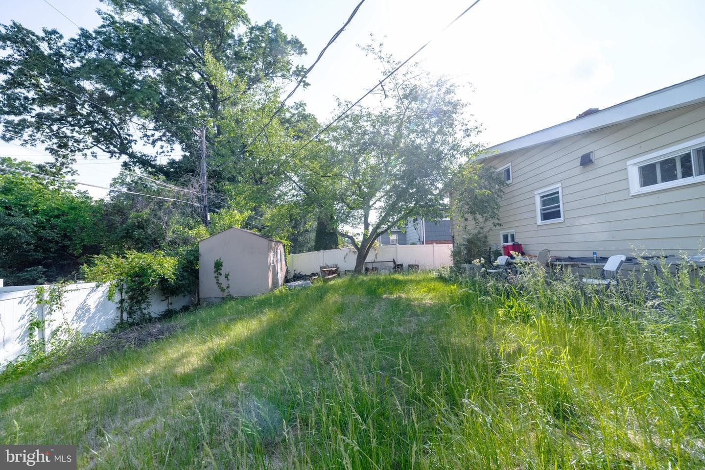4125 Ronis photo 37
