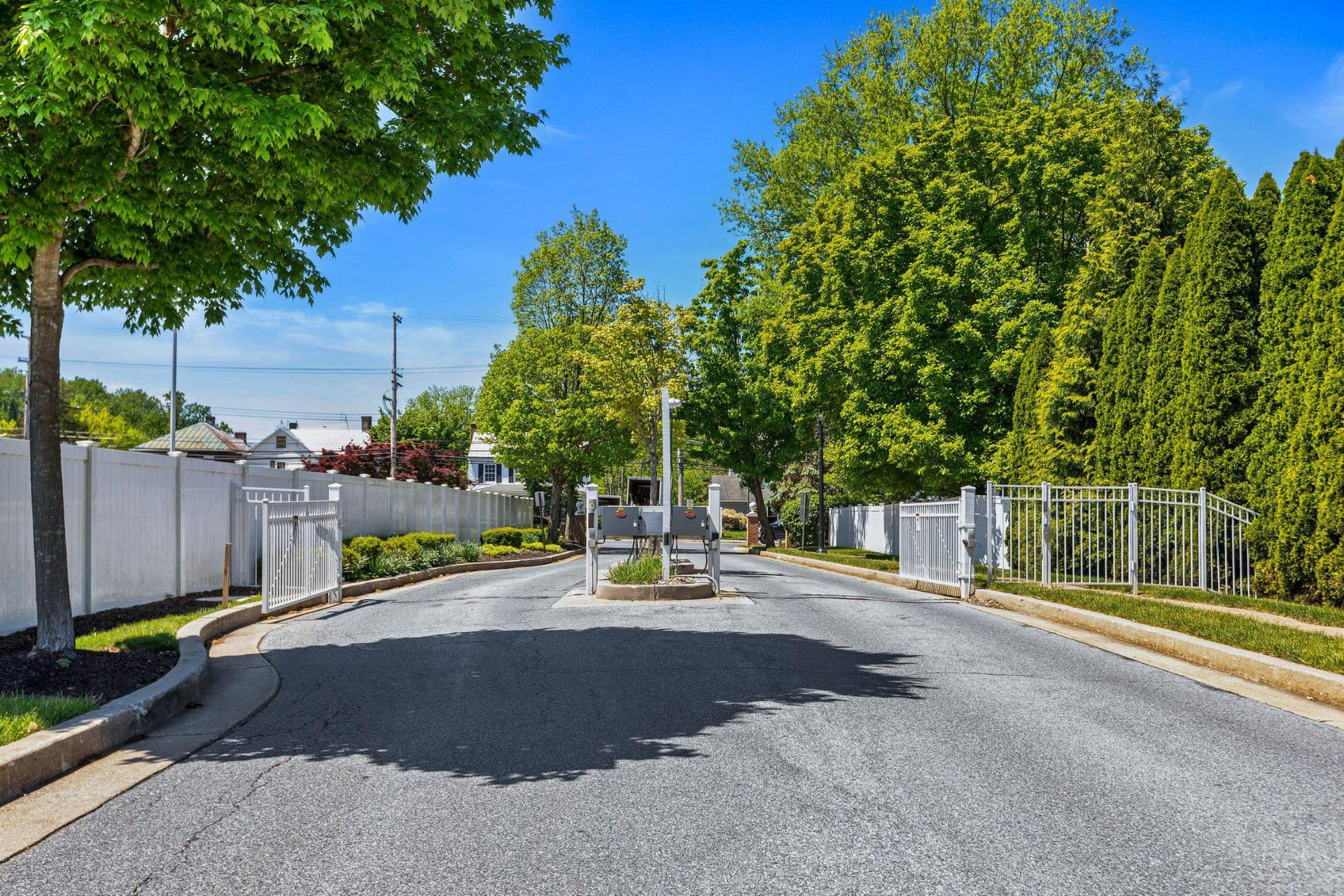 5 Johnsborough Court photo 109