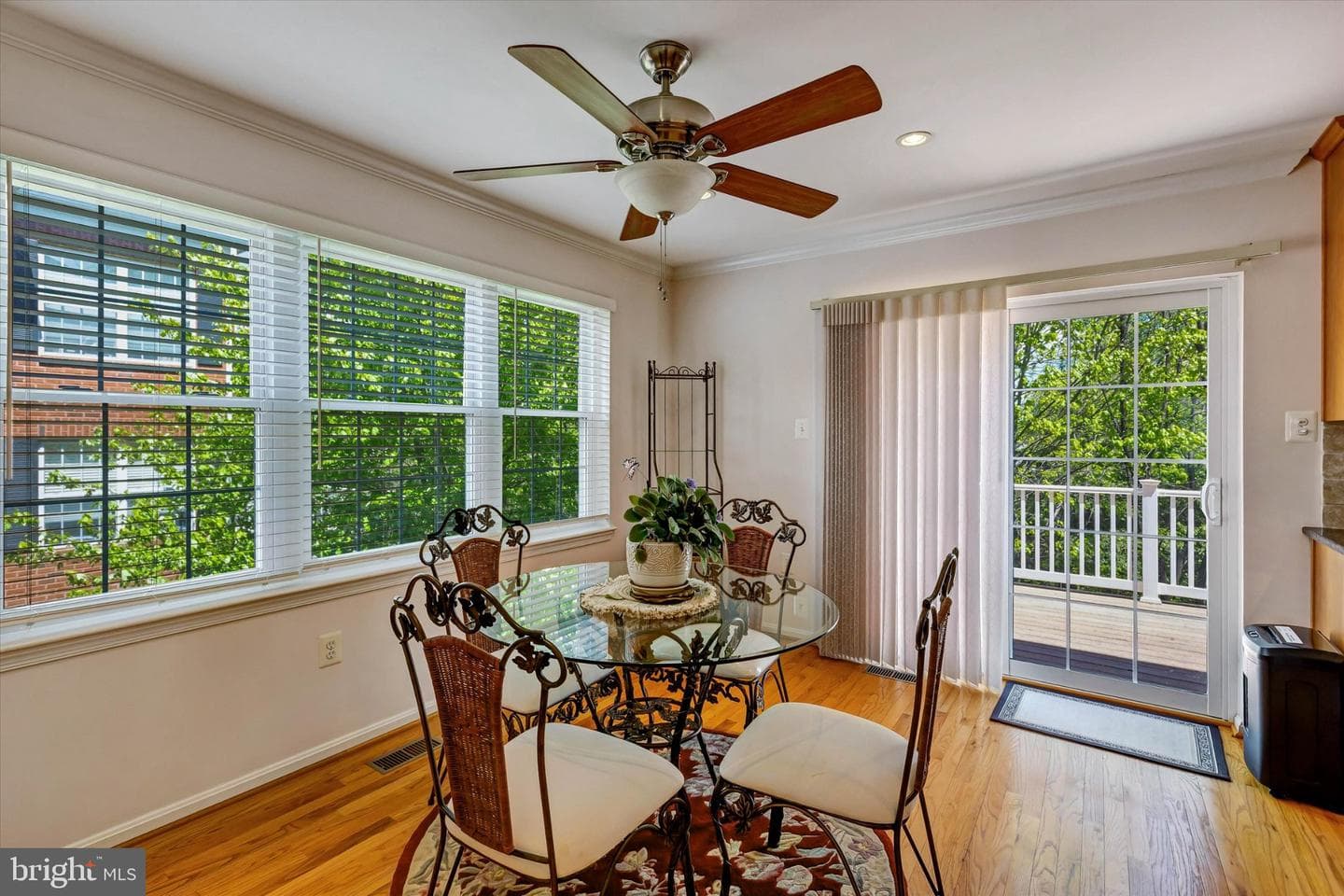 5 Johnsborough Court photo 23