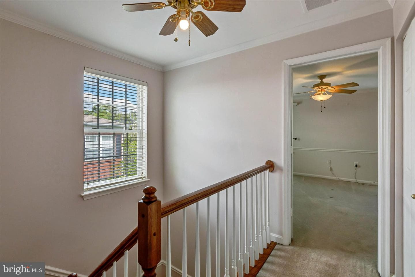 5 Johnsborough Court photo 42