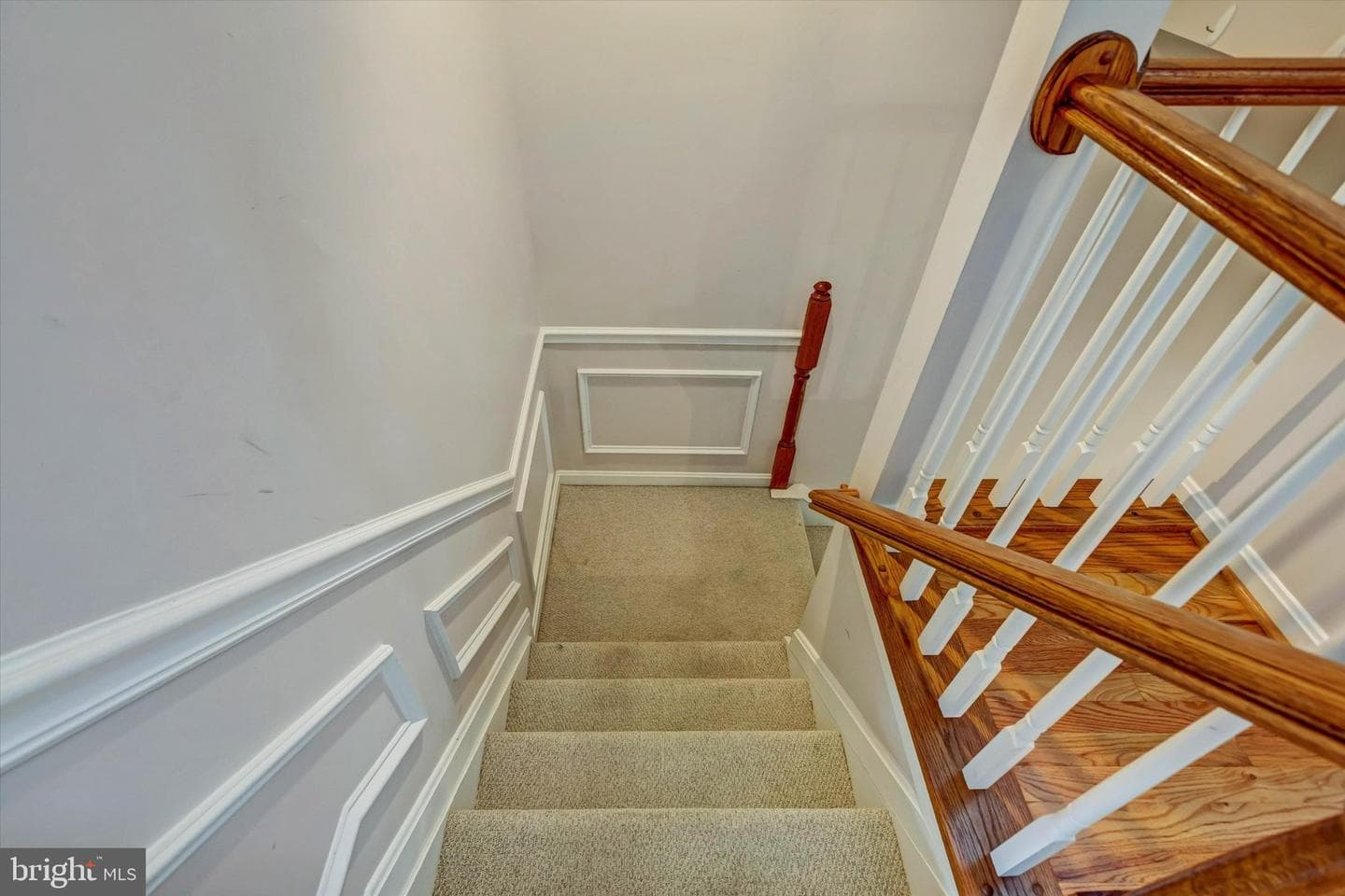 5 Johnsborough Court photo 68