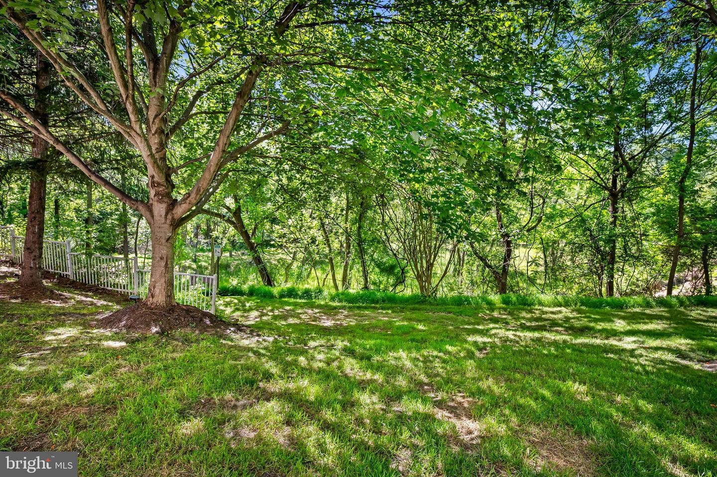 4713 Shellbark Road #4713 photo 4