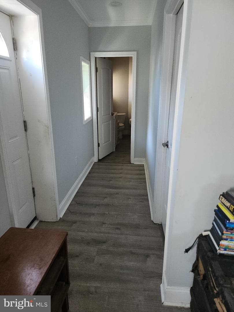 201 Mace Avenue photo 9