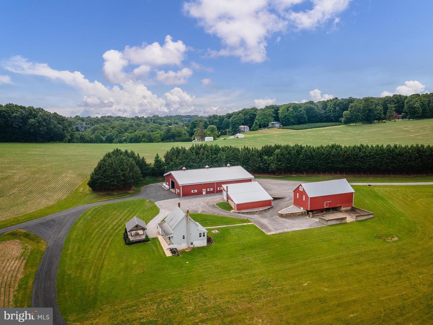 901 Freeland Road photo 15