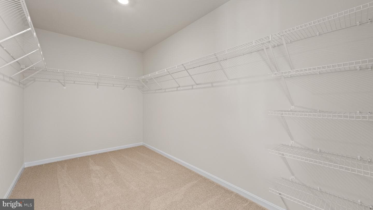 8112 Cypress Point Drive photo 36
