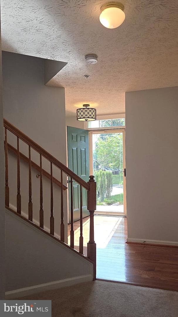 9776 Harvester Cir photo 11