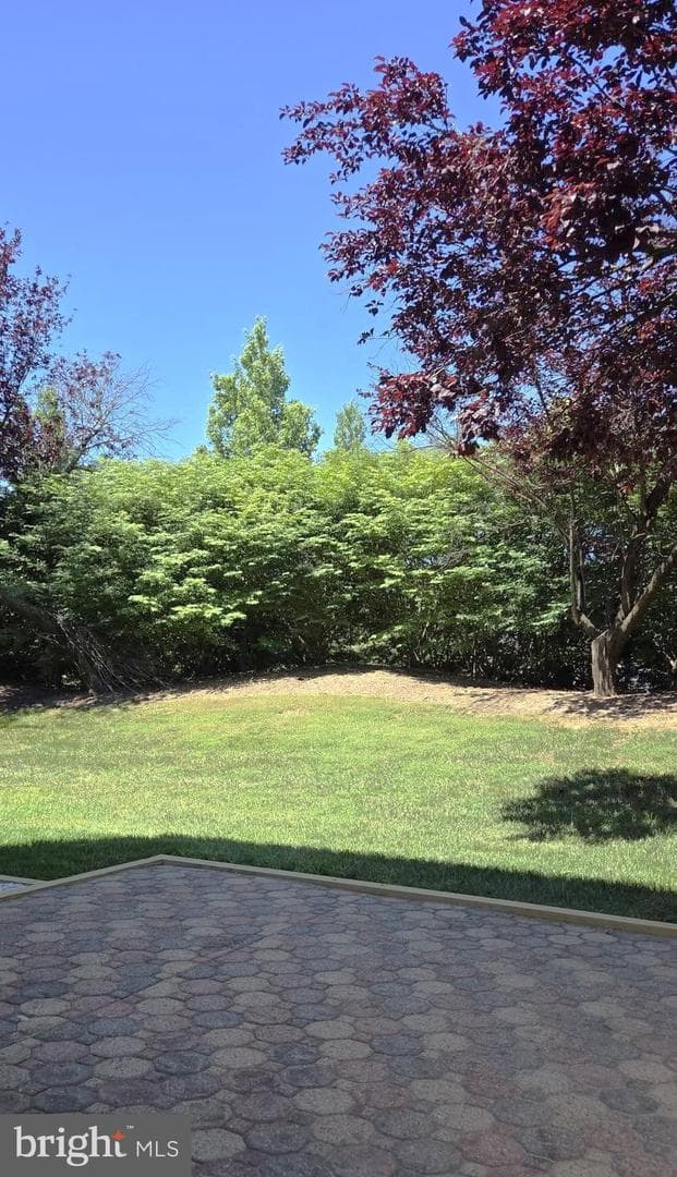 9776 Harvester Cir photo 7