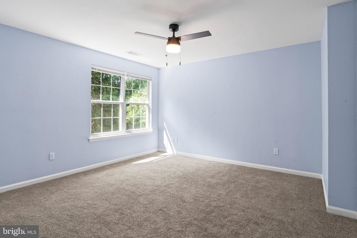 122 Persimmon Cir photo 15
