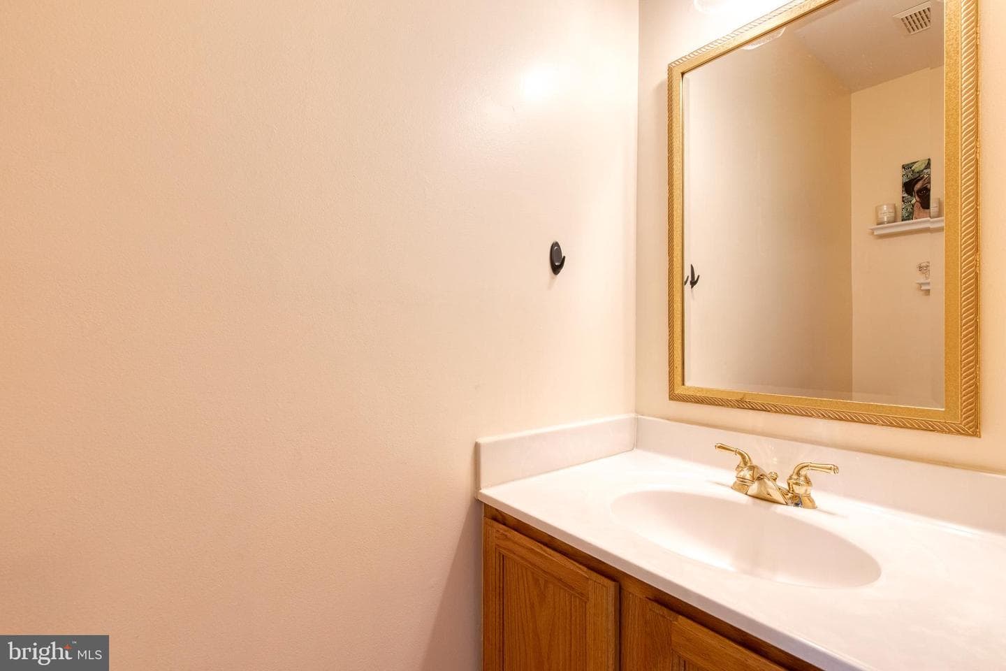 752 Leister Drive photo 18