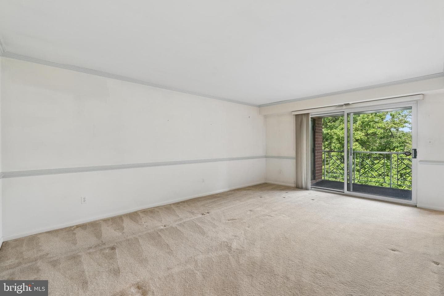 1 Lucan Court #301 photo 3