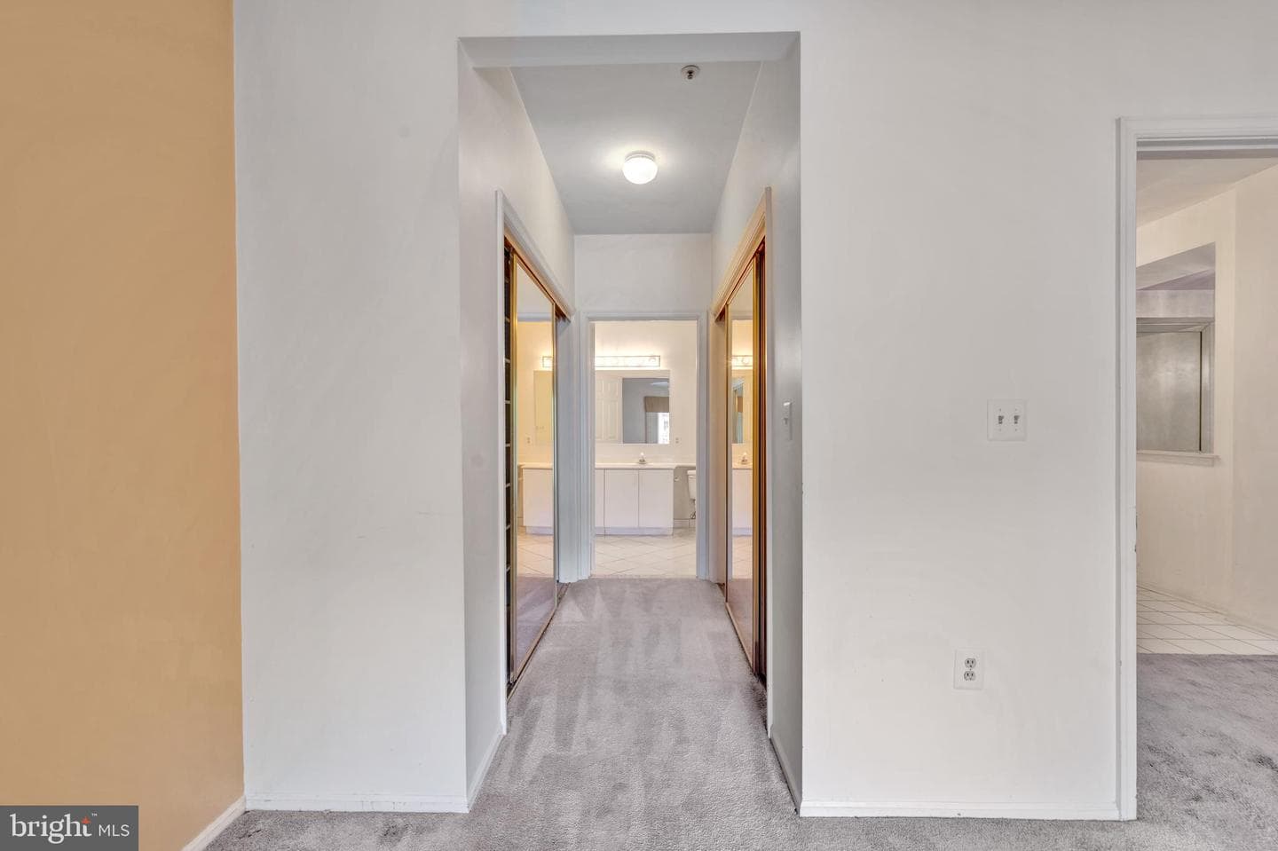 9219 Groffs Mill Drive #9219 photo 22