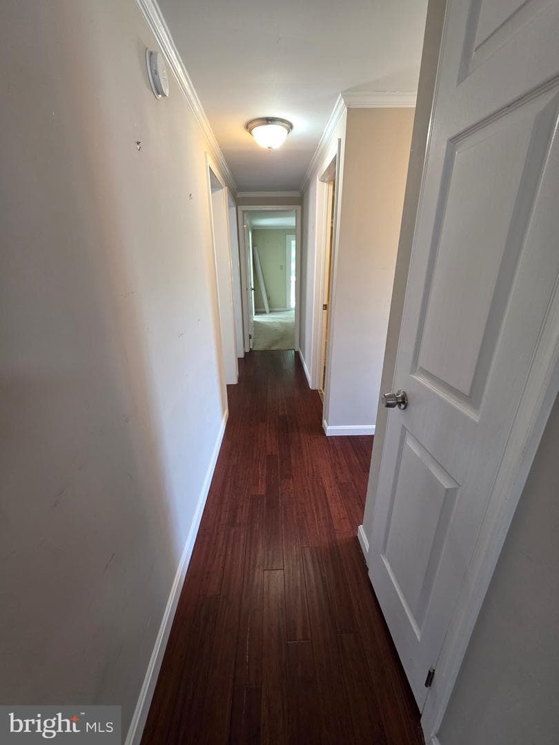 24 Tearose Dr photo 9